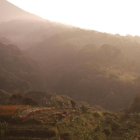 Pondok Kebun Gunung Bedugul  Dış mekan fotoğraf